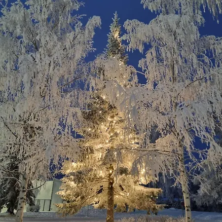 Polaris Homes Апартаменты Рованиеми